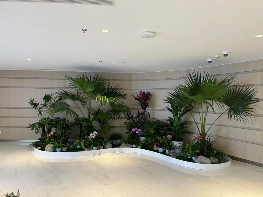 宁波杭州湾植物出租方案